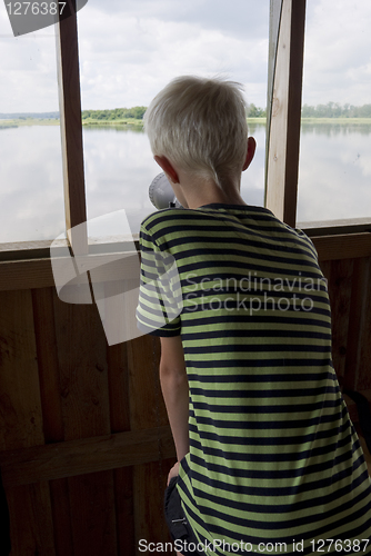 Image of Bird interested boy