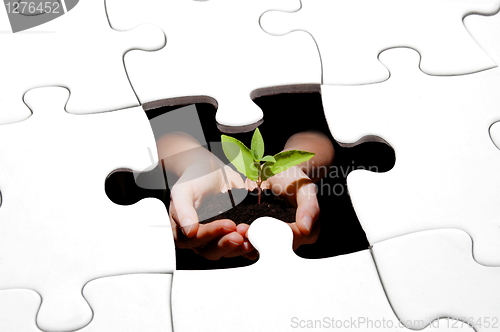 Image of puzzle and plant