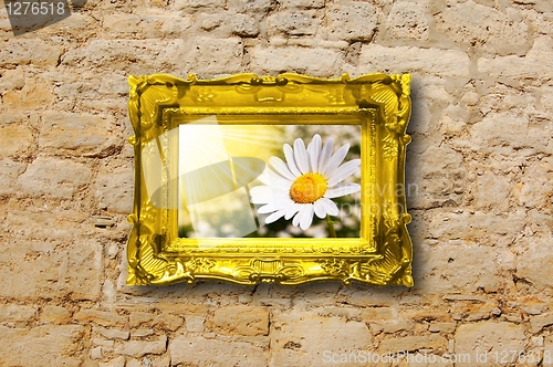 Image of flowers and image frame on wall