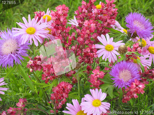 Image of Flowers