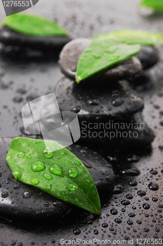 Image of wellness concept with zen stone