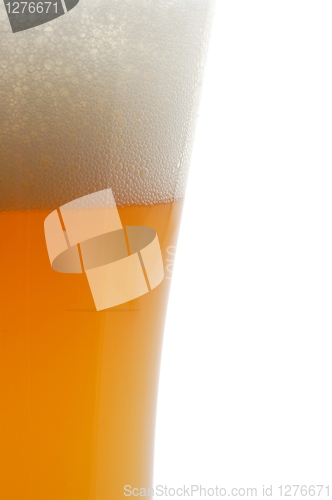 Image of glass of beer