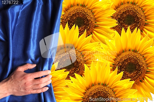 Image of flowers