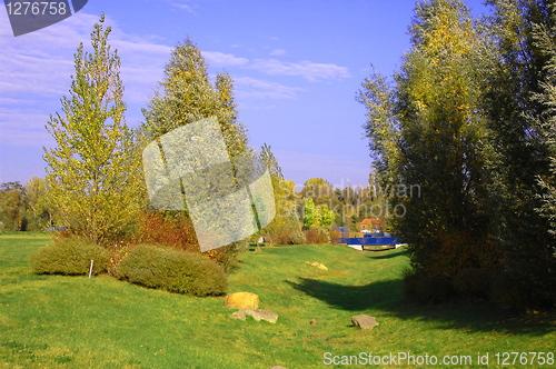 Image of summer in the park with green trees and grass