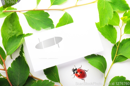 Image of blank paper
