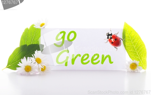Image of go green