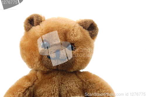 Image of teddy bear isolated on white background