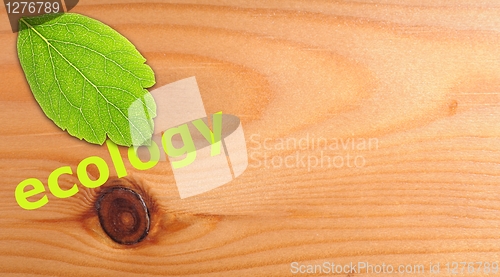 Image of ecology