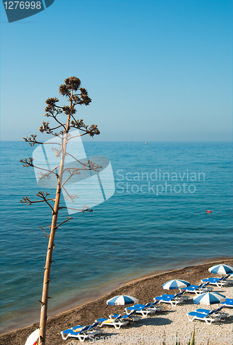 Image of Secluded bay