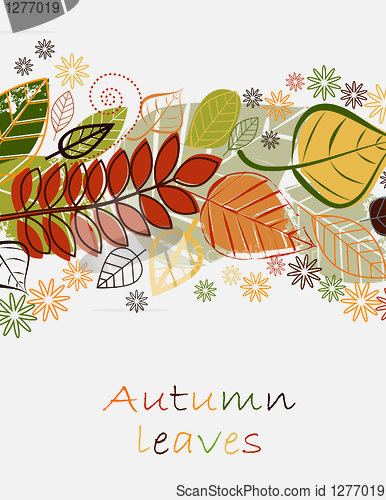 Image of autumn leaves