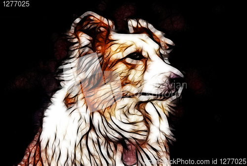 Image of Artistic Impression Border Collie