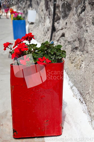 Image of Colorful geranium pots, Santorini, Greece