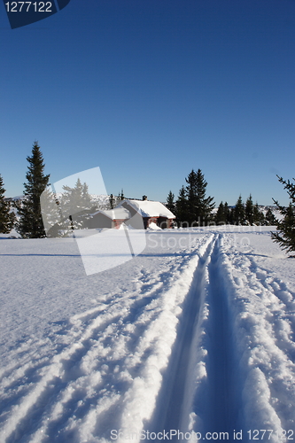 Image of skiing to the cabin