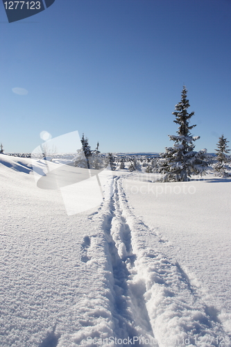 Image of ski tracks in deep snow