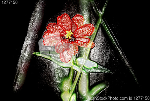 Image of Red flower