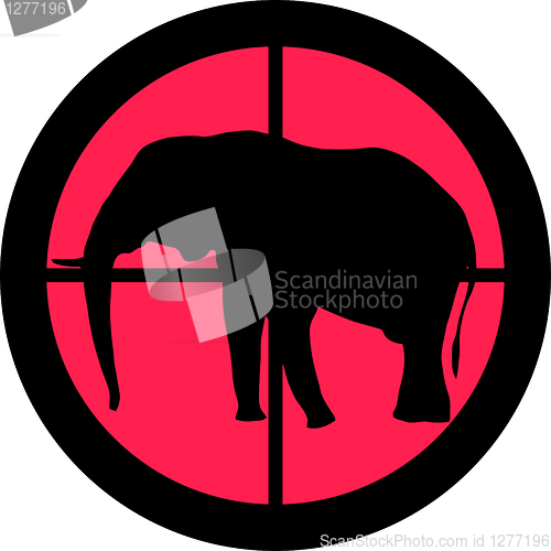 Image of In the Scope Series – Elephant