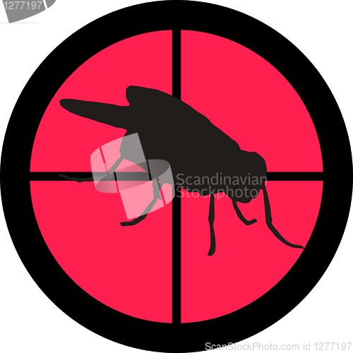 Image of In the Scope Series – Fly