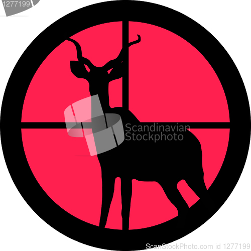 Image of In the Scope Series – Kudu / Koedoe