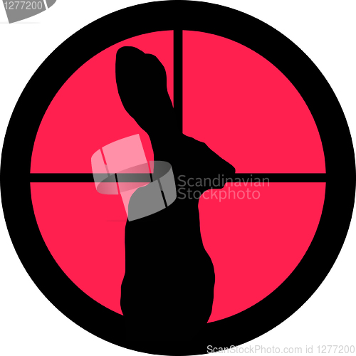 Image of In the Scope Series – Rabbit