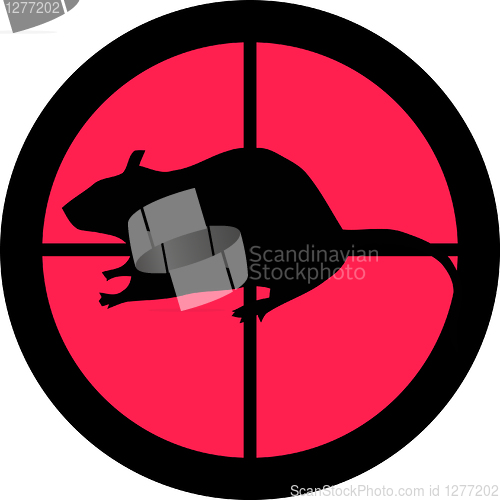 Image of In the Scope Series – Rat