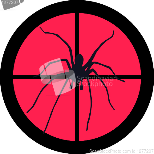 Image of In the Scope Series – Spider