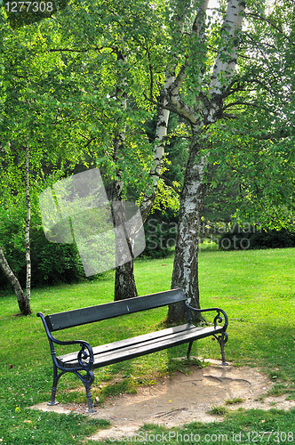 Image of Bench in park