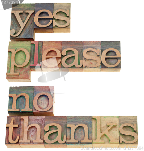 Image of yes please, no thanks