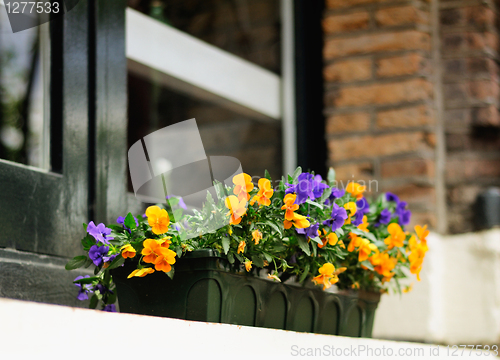 Image of Flowers decorating window