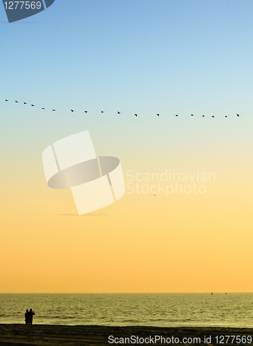 Image of Mens couple looking out to sea