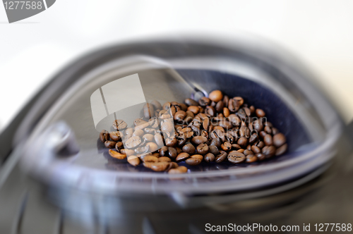 Image of Freshly roasted coffee beans