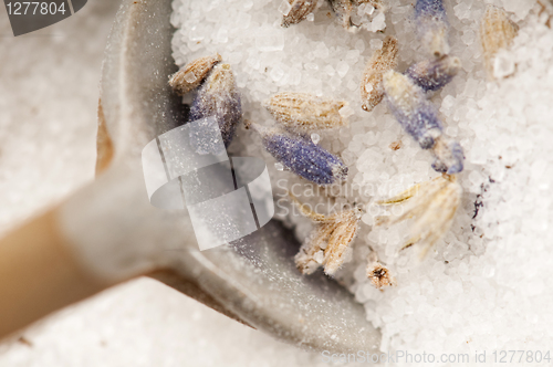 Image of Lavender Sugar