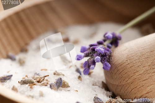 Image of Lavender Sugar