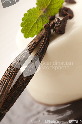 Image of Panna Cotta with chocolate and vanilla beans