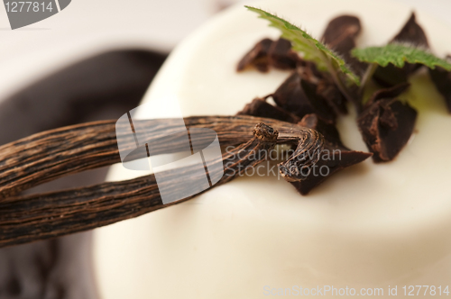 Image of Panna Cotta with chocolate and vanilla beans