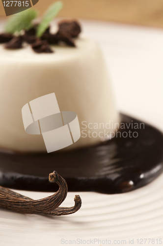 Image of Panna Cotta with chocolate and vanilla beans