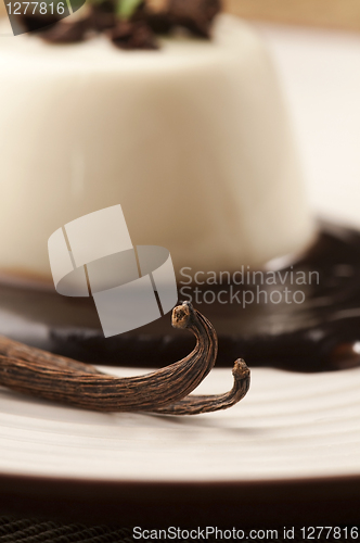 Image of Panna Cotta with chocolate and vanilla beans