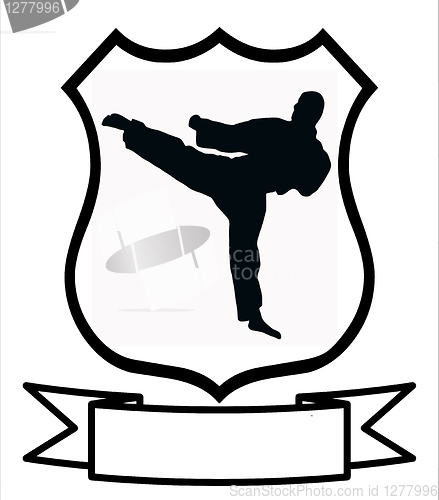 Image of Karate Sport Shield 