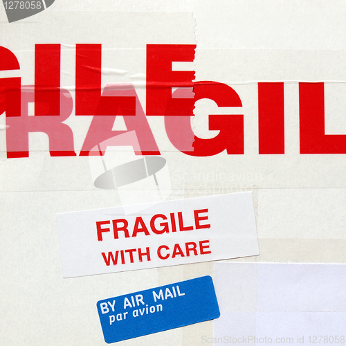 Image of Fragile