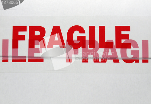 Image of Fragile