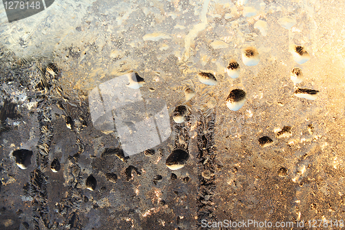 Image of frozen water drops and sunlight on winter glass