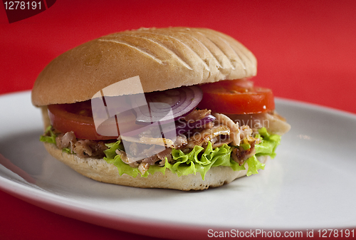 Image of Turkish doner kebab