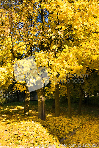 Image of Autumn season