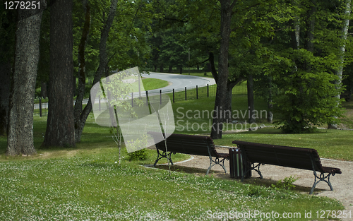 Image of Two bench in park