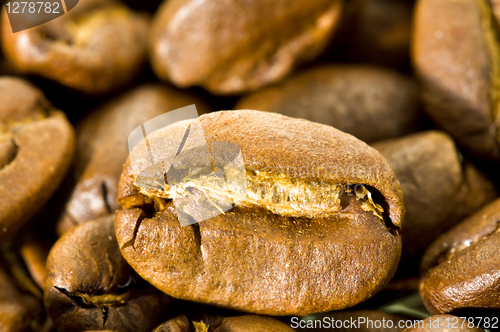 Image of Coffee (macro)