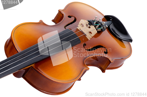 Image of Violin close up 