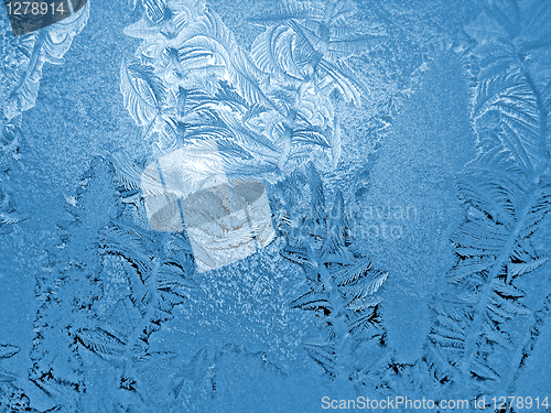 Image of blue frosty natural pattern