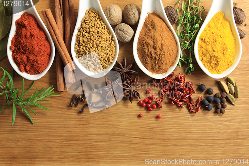 Image of Spices and herbs