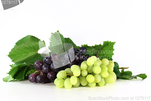 Image of grapes