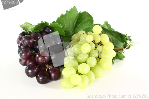 Image of Grapes