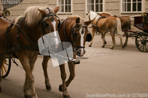 Image of Horse-drawn carriage